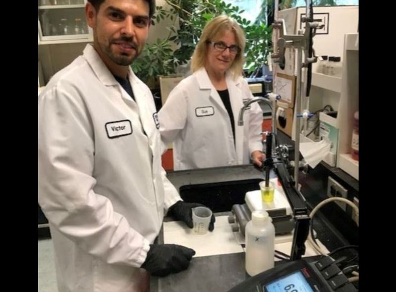 WPC June 2024 - Image 2