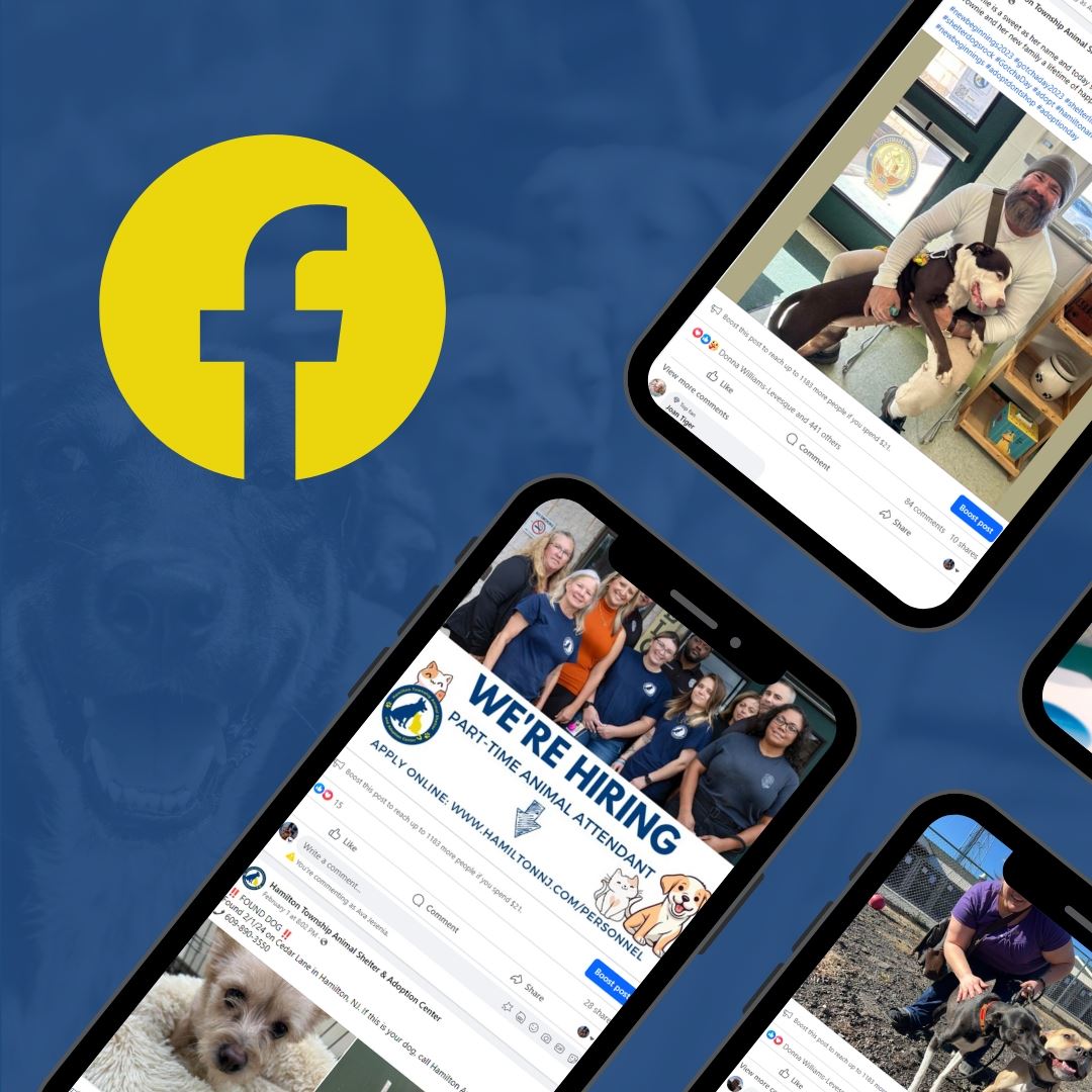 Follow the Hamilton Township Animal Shelter on Facebook !